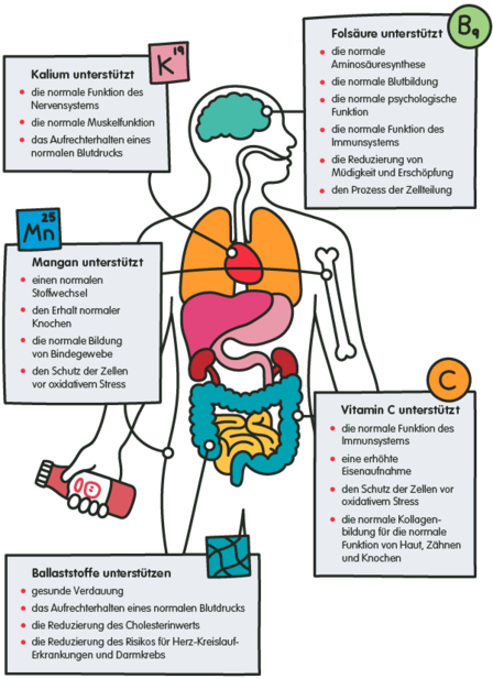 vitamine und nährstoffe