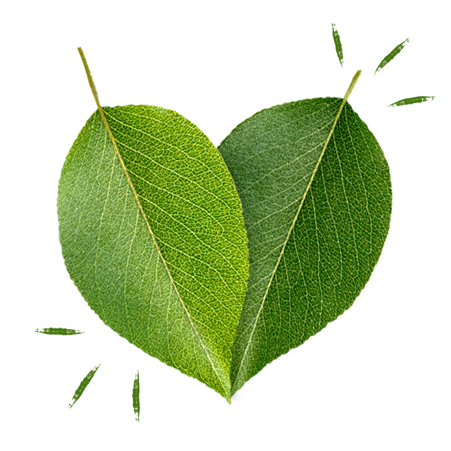 zwei Blätter, die sich überlappen